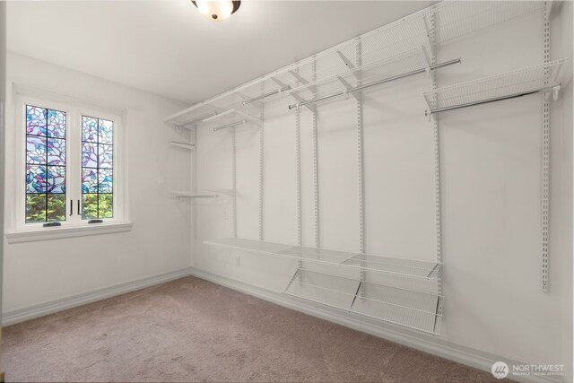 405 Prospect St Unit 201, Seattle, WA 98109 - walk in closet with carpet