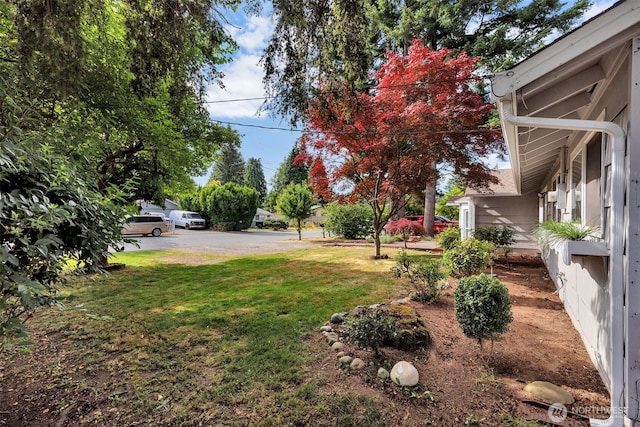 18256 45th Ave S, Seatac, WA 98188 - view of grassy yard