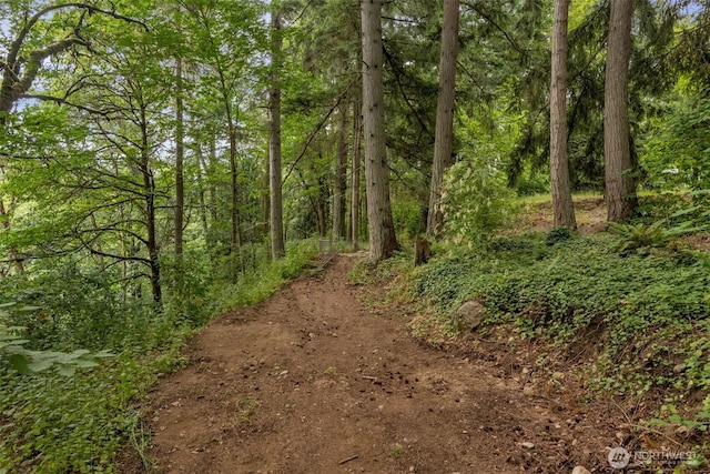 10656 SE 287th St, Auburn, WA 98092 - view of woods