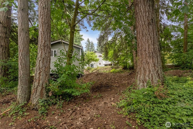 10656 SE 287th St, Auburn, WA 98092 - view of yard