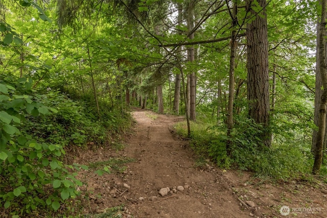 10656 SE 287th St, Auburn, WA 98092 - view of woods
