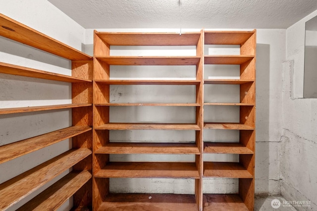 17424 NE 88th Pl Unit B24, Redmond, WA 98052 - view of storage area