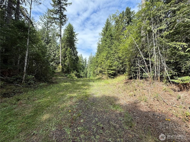 140141 E Douglas Fir Ln, Allyn, WA 98524 - photo 12