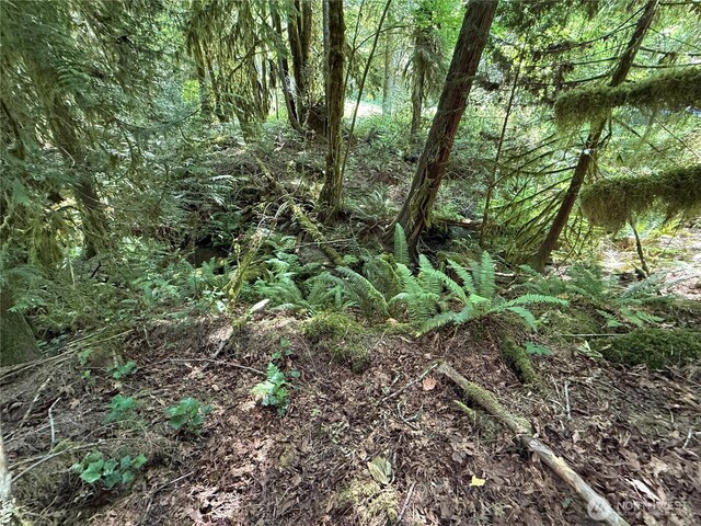 140141 E Douglas Fir Ln, Allyn, WA 98524 - photo 15