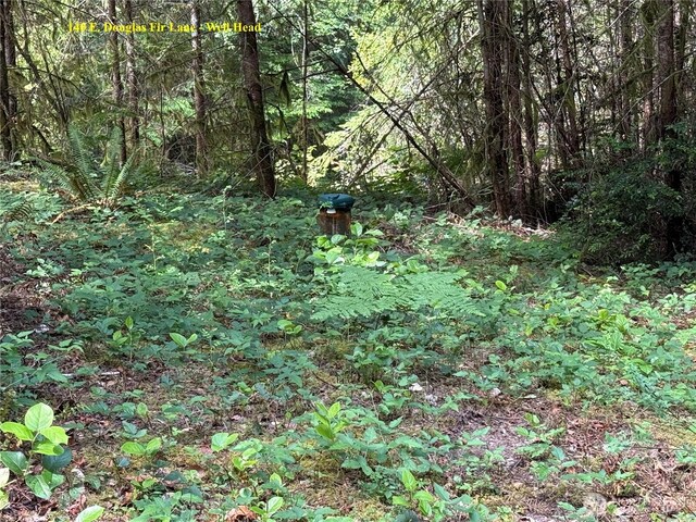 140141 E Douglas Fir Ln, Allyn, WA 98524 - photo 8