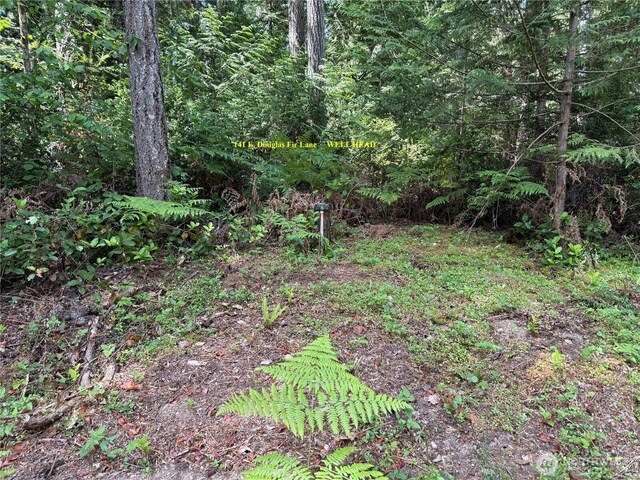 140141 E Douglas Fir Ln, Allyn, WA 98524 - photo 11