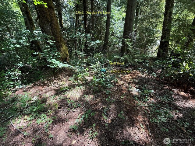 140141 E Douglas Fir Ln, Allyn, WA 98524 - photo 13