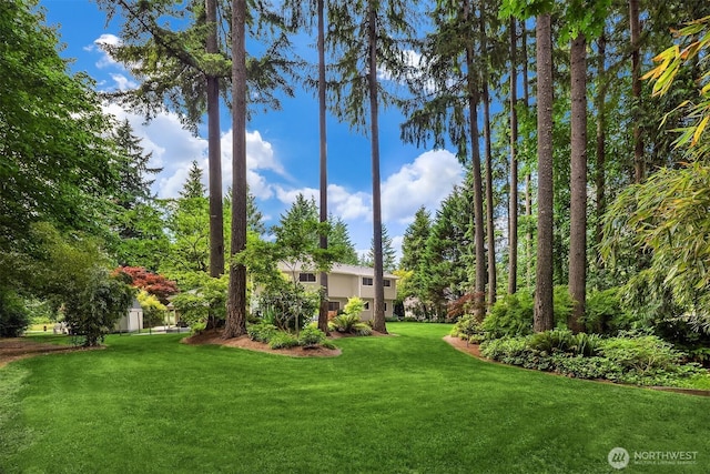 19006 185th Ave NE, Woodinville, WA 98077 - photo 9