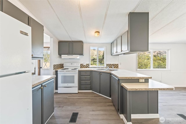 138 Trestle View Ln, Dryden, WA 98821 - kitchen featuring white appliances, under cabinet range hood, gray cabinets, a peninsula, and light wood-type flooring