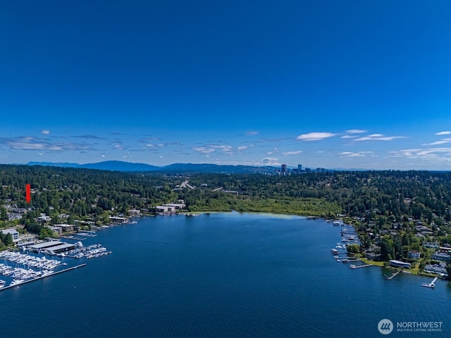 4816 Lake Washington Blvd NE, Kirkland, WA 98033