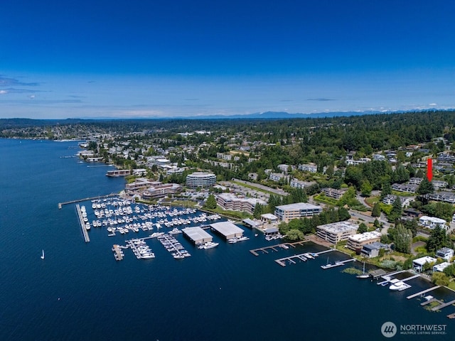 4816 Lake Washington Blvd NE, Kirkland, WA 98033