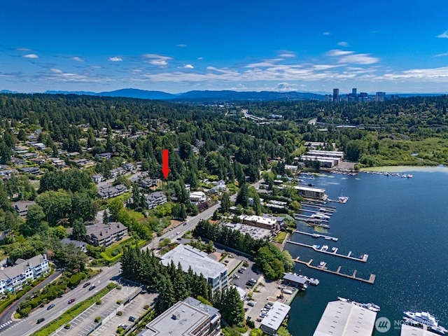 4816 Lake Washington Blvd NE, Kirkland, WA 98033