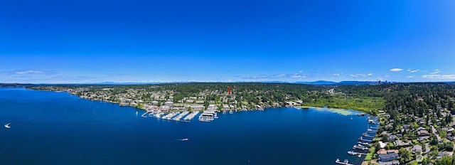 4816 Lake Washington Blvd NE, Kirkland, WA 98033