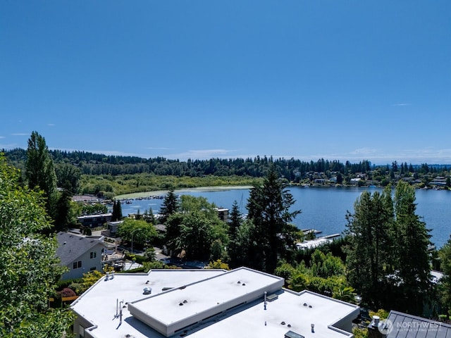 4816 Lake Washington Blvd NE, Kirkland, WA 98033
