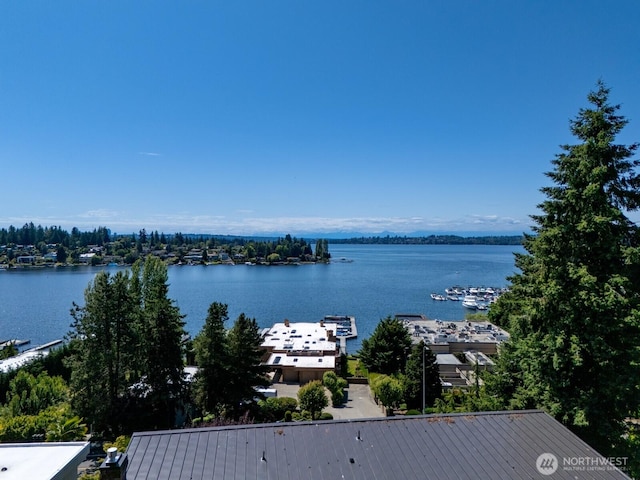 4816 Lake Washington Blvd NE, Kirkland, WA 98033