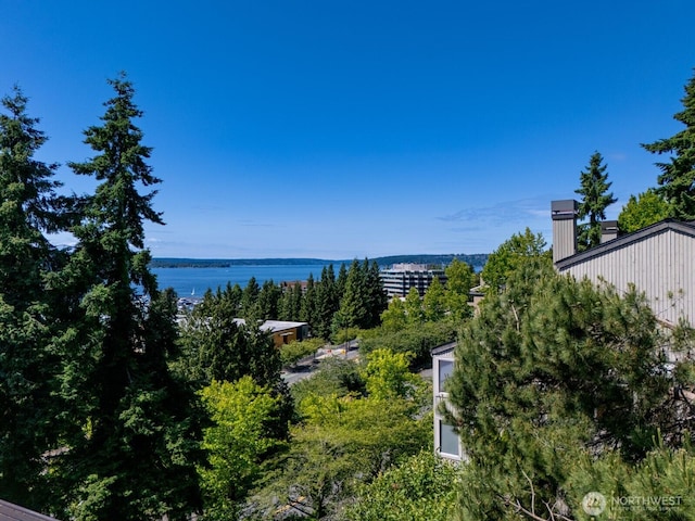 4816 Lake Washington Blvd NE, Kirkland, WA 98033