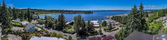 4816 Lake Washington Blvd NE, Kirkland, WA 98033