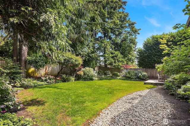 11050 SE 30th St, Bellevue, WA 98004 - view of fenced backyard