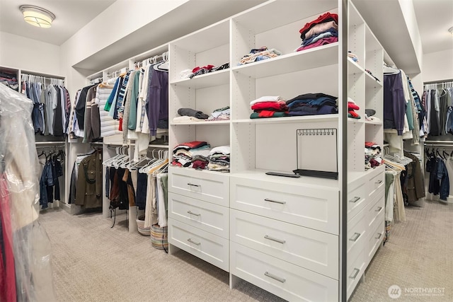 11050 SE 30th St, Bellevue, WA 98004 - spacious closet featuring light carpet