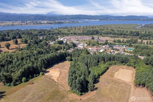 15 Forest Hts, Cathlamet, WA 98612 - photo 2