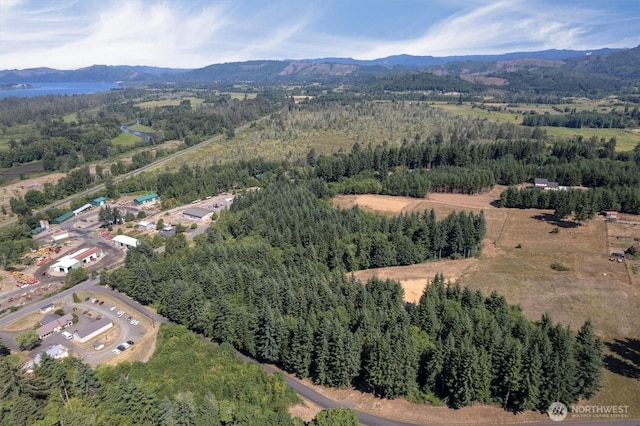 15 Forest Hts, Cathlamet, WA 98612 - photo 3