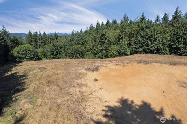 15 Forest Hts, Cathlamet, WA 98612 - photo 9