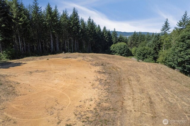 15 Forest Hts, Cathlamet, WA 98612 - photo 10