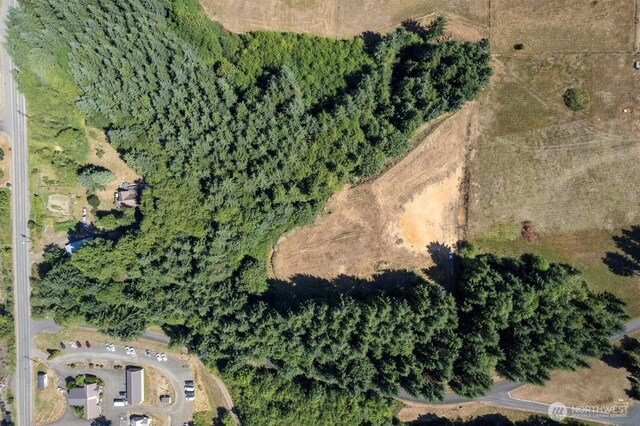15 Forest Hts, Cathlamet, WA 98612 - photo 11