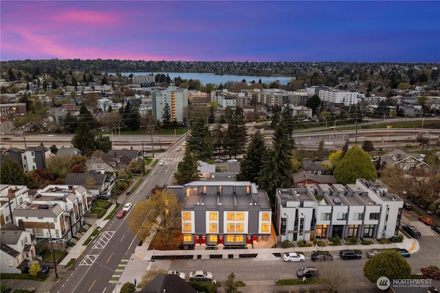 7013 9th Ave NE, Seattle, WA 98115 - bird's eye view