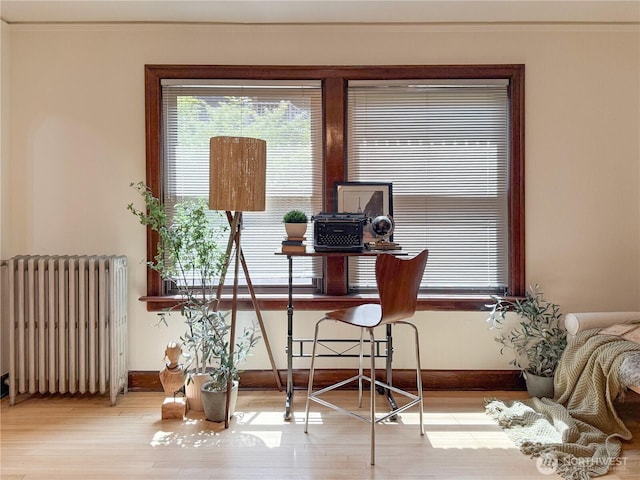 2328 10th Ave E Unit 102, Seattle, WA 98102 - office area with radiator, healthy amount of natural light, wood finished floors, and ornamental molding