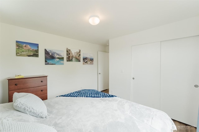 7543 Wooldridge Dr, Blaine, WA 98230 - bedroom with a closet