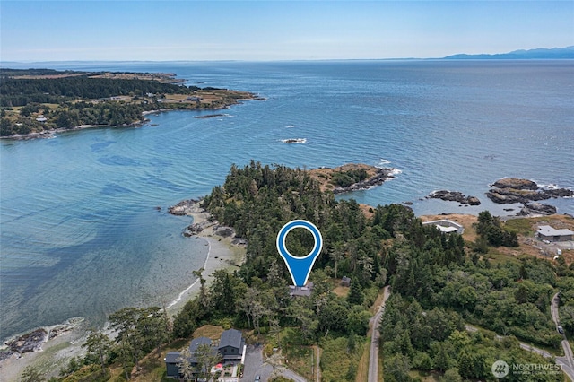 16 Bayshore Rd, Friday Harbor, WA 98250 - aerial overview of property's location featuring a large body of water