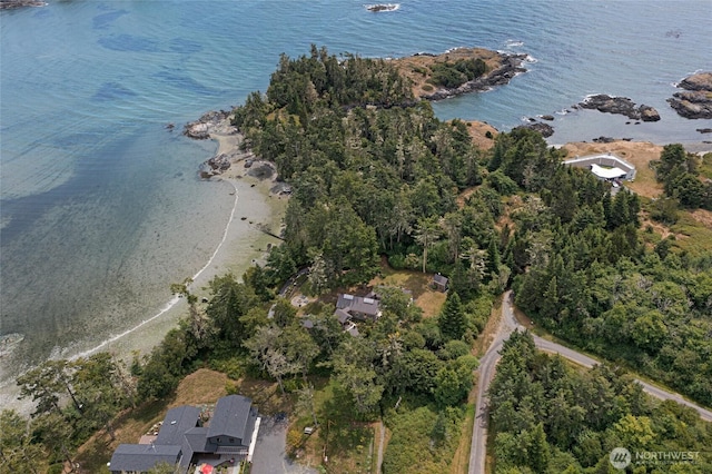 16 Bayshore Rd, Friday Harbor, WA 98250 - aerial view of property's location with a large body of water