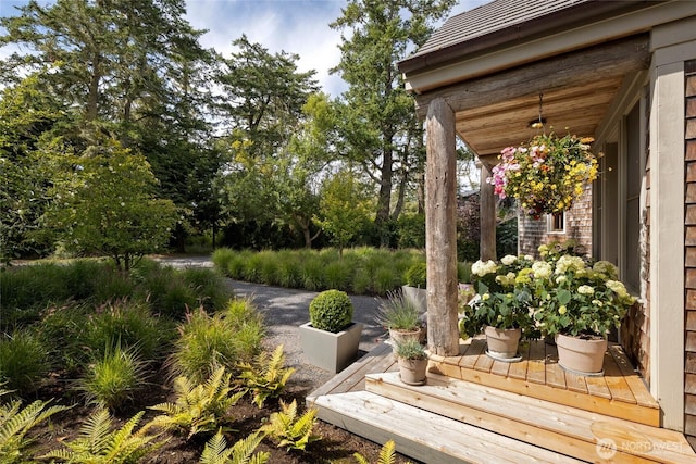 16 Bayshore Rd, Friday Harbor, WA 98250 - view of yard