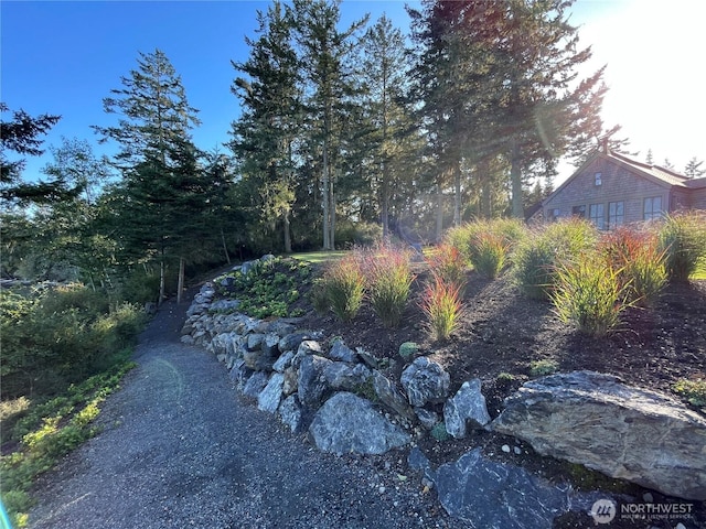 16 Bayshore Rd, Friday Harbor, WA 98250 - view of yard