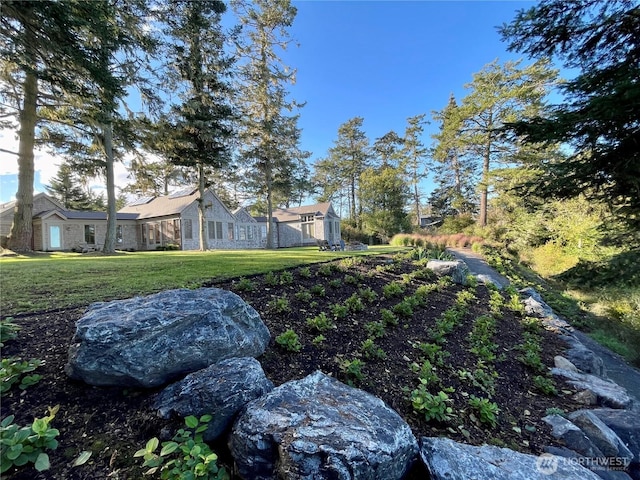 16 Bayshore Rd, Friday Harbor, WA 98250 - view of green lawn