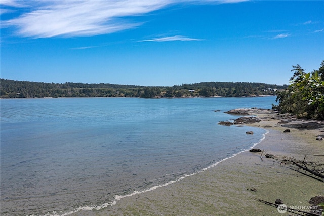 16 Bayshore Rd, Friday Harbor, WA 98250 - water view featuring a heavily wooded area