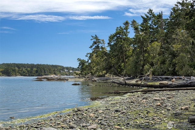 16 Bayshore Rd, Friday Harbor, WA 98250 - water view featuring a heavily wooded area