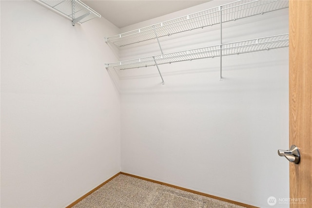 8803 136th St E, Puyallup, WA 98373 - walk in closet with carpet flooring