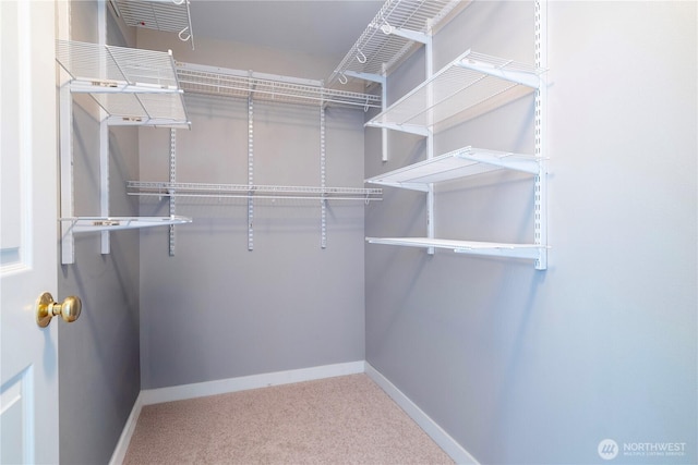 6707 SE Cougar Mountain Way Unit 2, Bellevue, WA 98006 - walk in closet featuring carpet