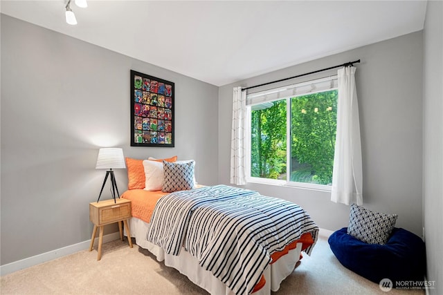 6707 SE Cougar Mountain Way Unit 2, Bellevue, WA 98006 - bedroom featuring carpet and baseboards
