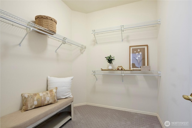 1912 243rd Pl SE, Bothell, WA 98021 - spacious closet with carpet