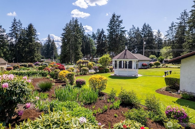 9802 124th St E, Puyallup, WA 98373 - view of green lawn with a gazebo