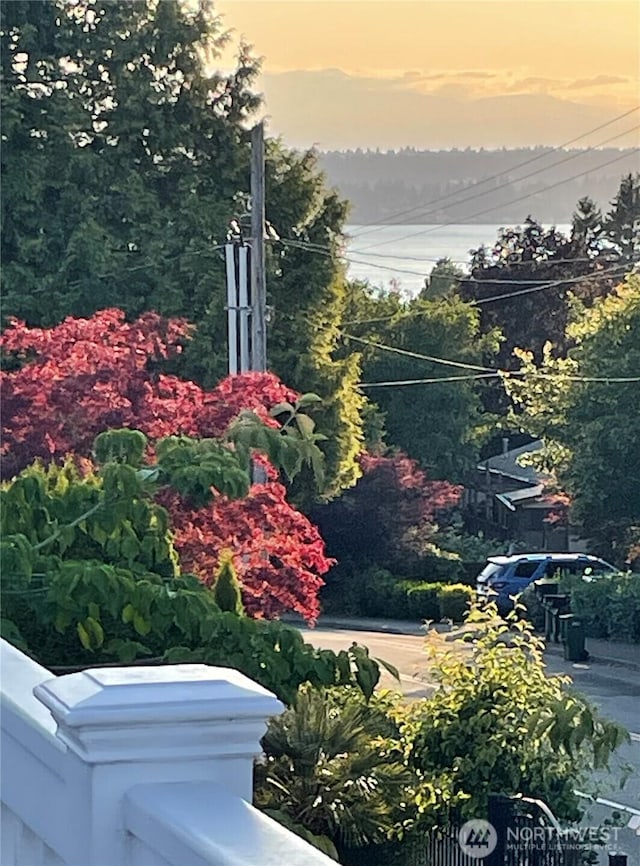 141 18th Ave, Kirkland, WA 98033 - view of yard