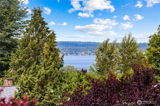 6210 105th Ave NE, Kirkland, WA 98033 - water view with a heavily wooded area