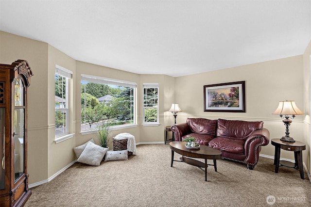 1920 11th Street Pl SW, Puyallup, WA 98371 - living room featuring carpet