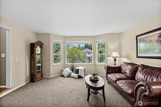1920 11th Street Pl SW, Puyallup, WA 98371 - living area with carpet floors and baseboards
