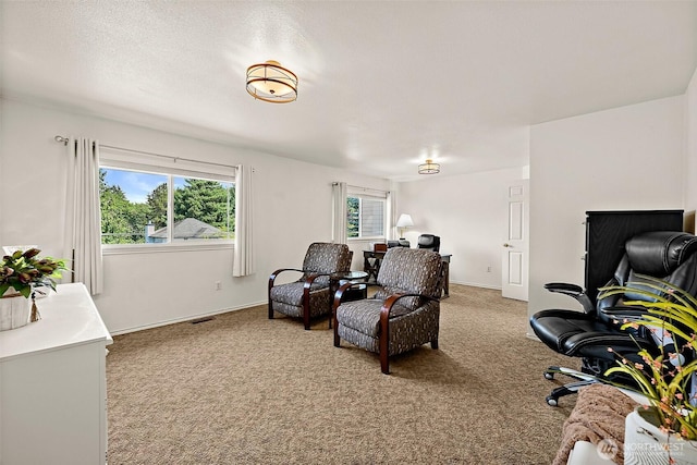 1920 11th Street Pl SW, Puyallup, WA 98371 - sitting room featuring carpet flooring and baseboards