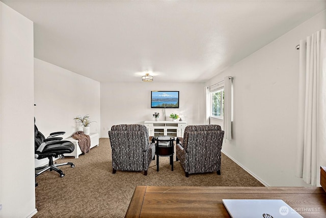 1920 11th Street Pl SW, Puyallup, WA 98371 - view of carpeted living room