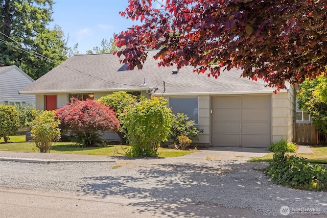 5065 SW Olga St, Seattle, WA 98116 - view of property hidden behind natural elements with gravel driveway, an attached garage, and a shingled roof